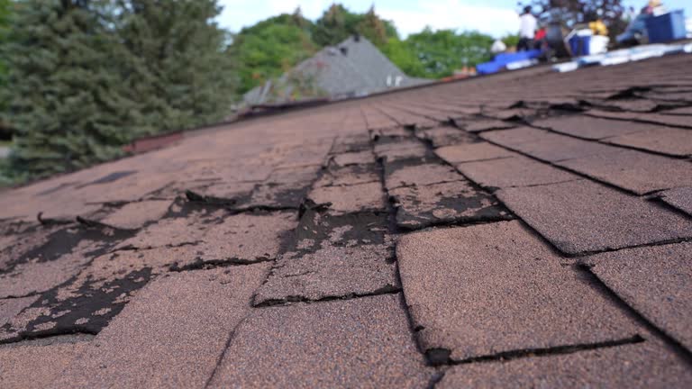Reliable Calumet, PA Roofing Service Solutions